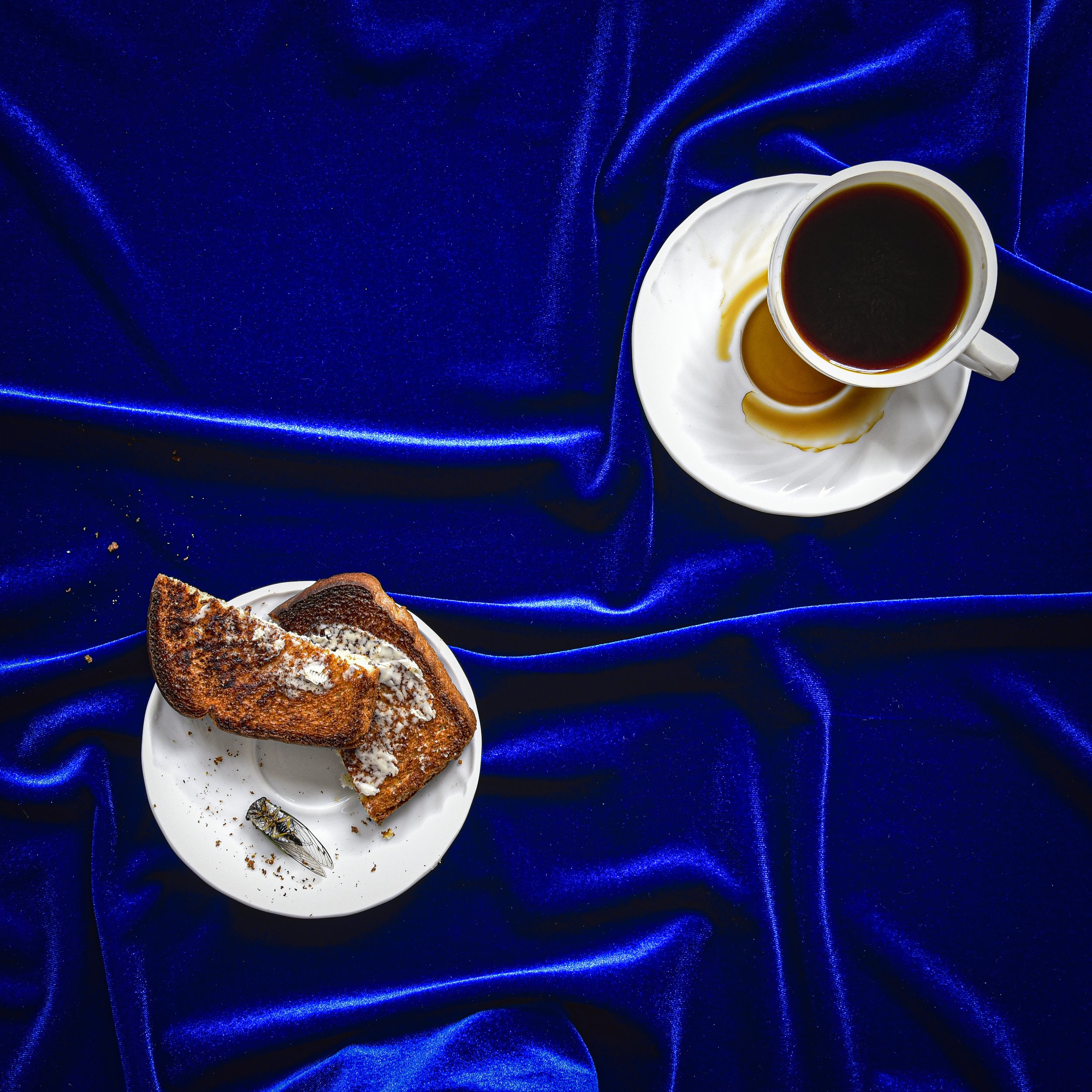 Coffee with a Side of Toast