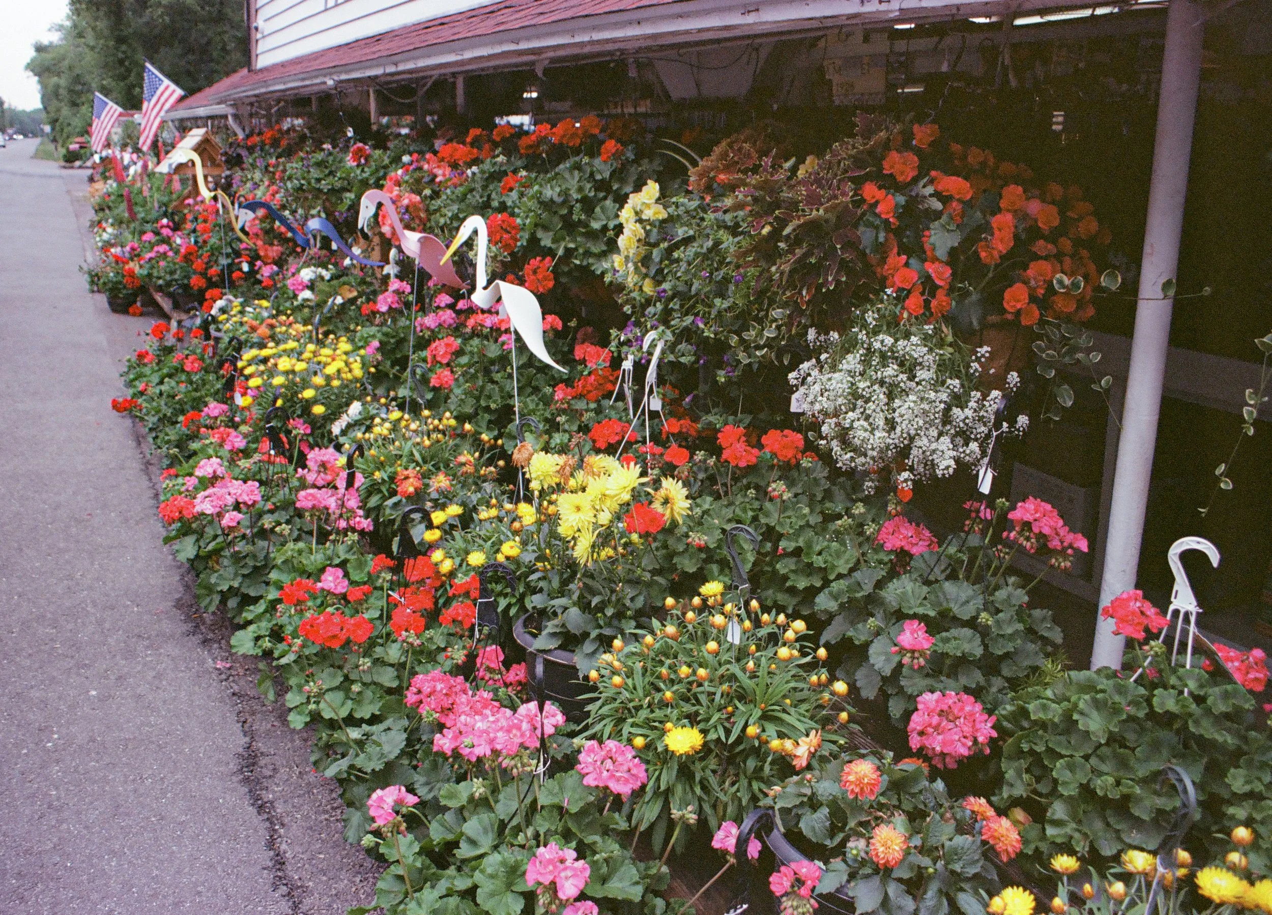 red top garden 2.jpg