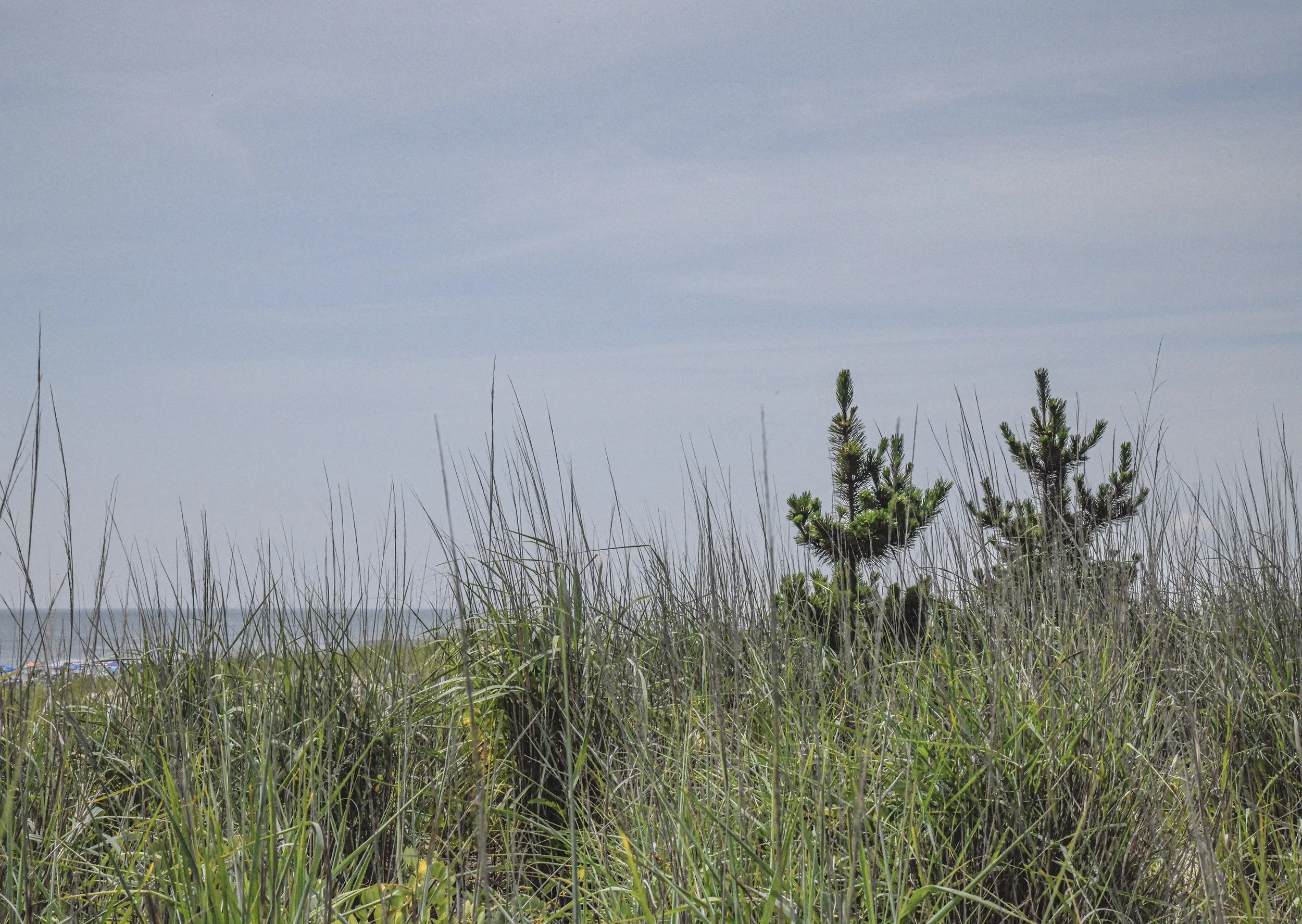 Surf City, Sand Dunes