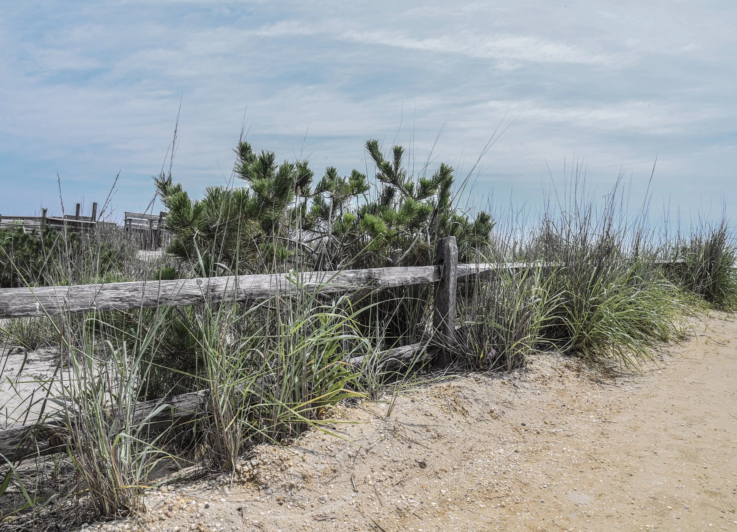 Dunes, Surf City, NJ