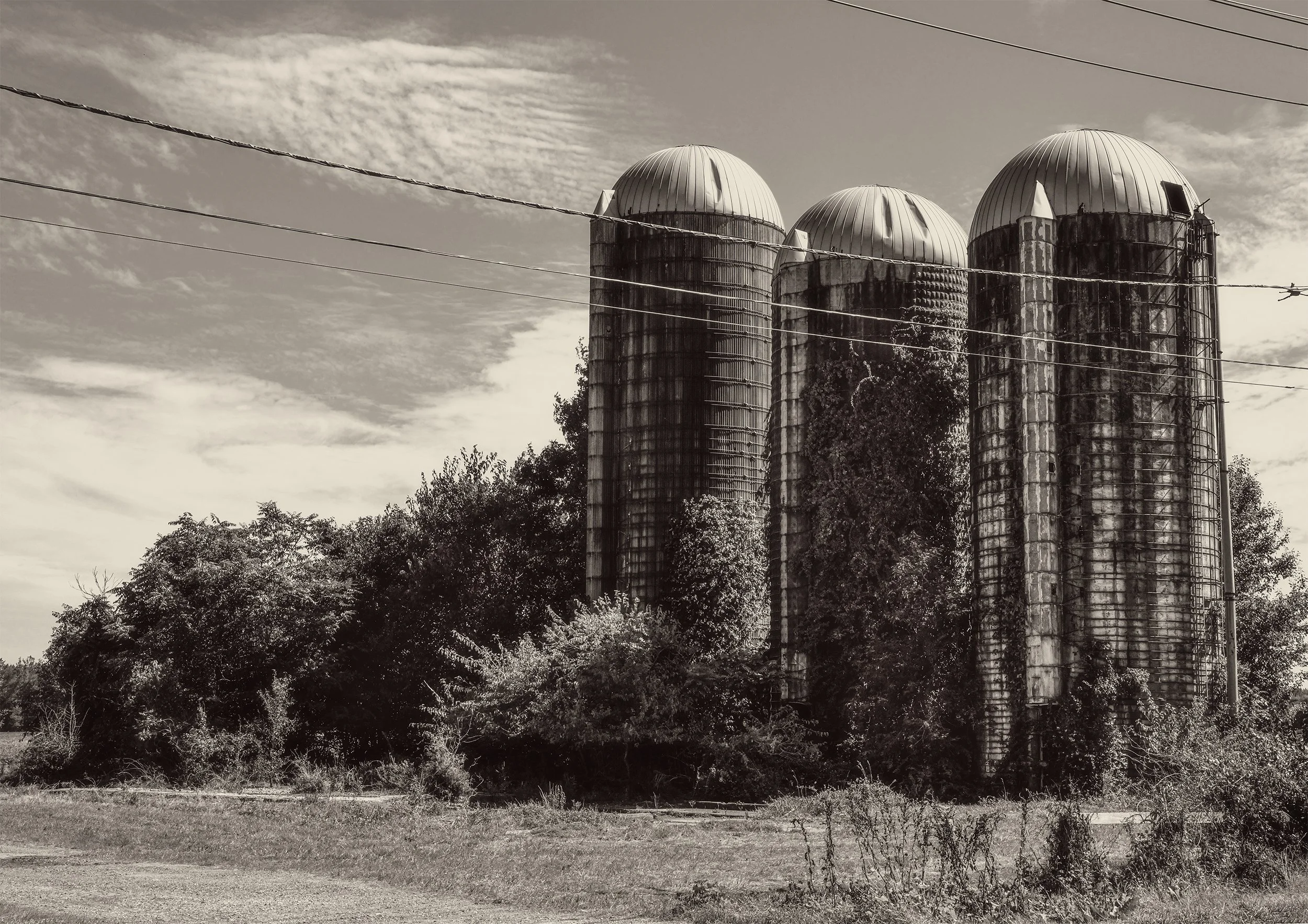 Medford Grain Silos