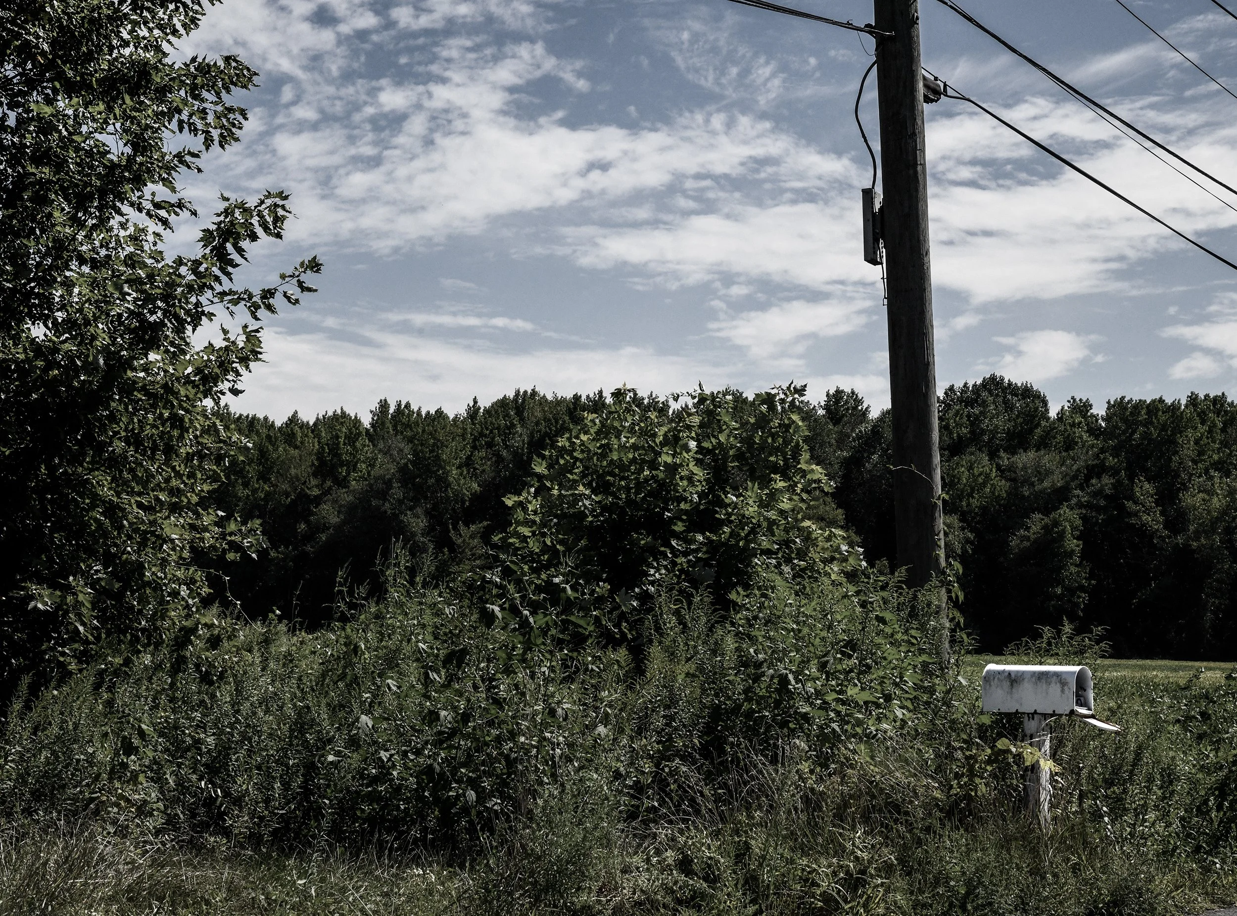 MKott_Mailbox medford.jpg