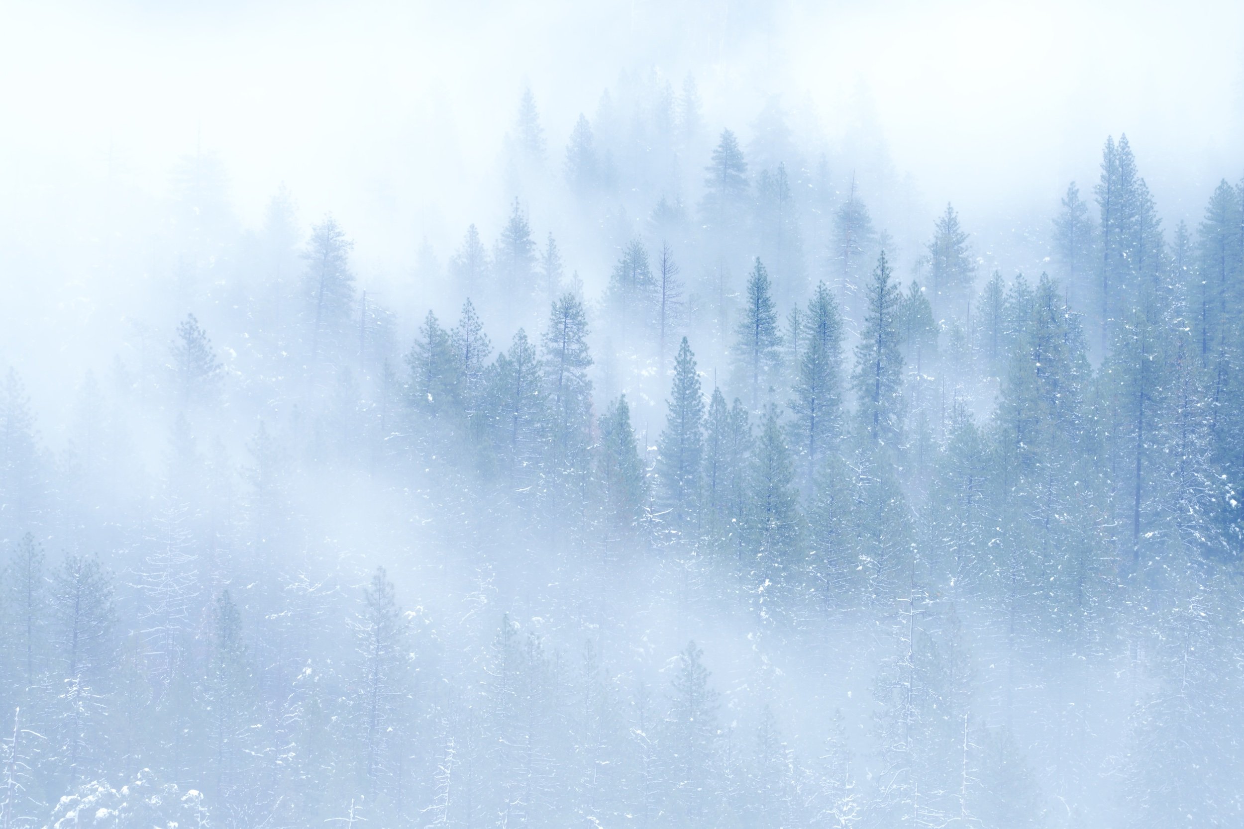 Fog2.jpeg