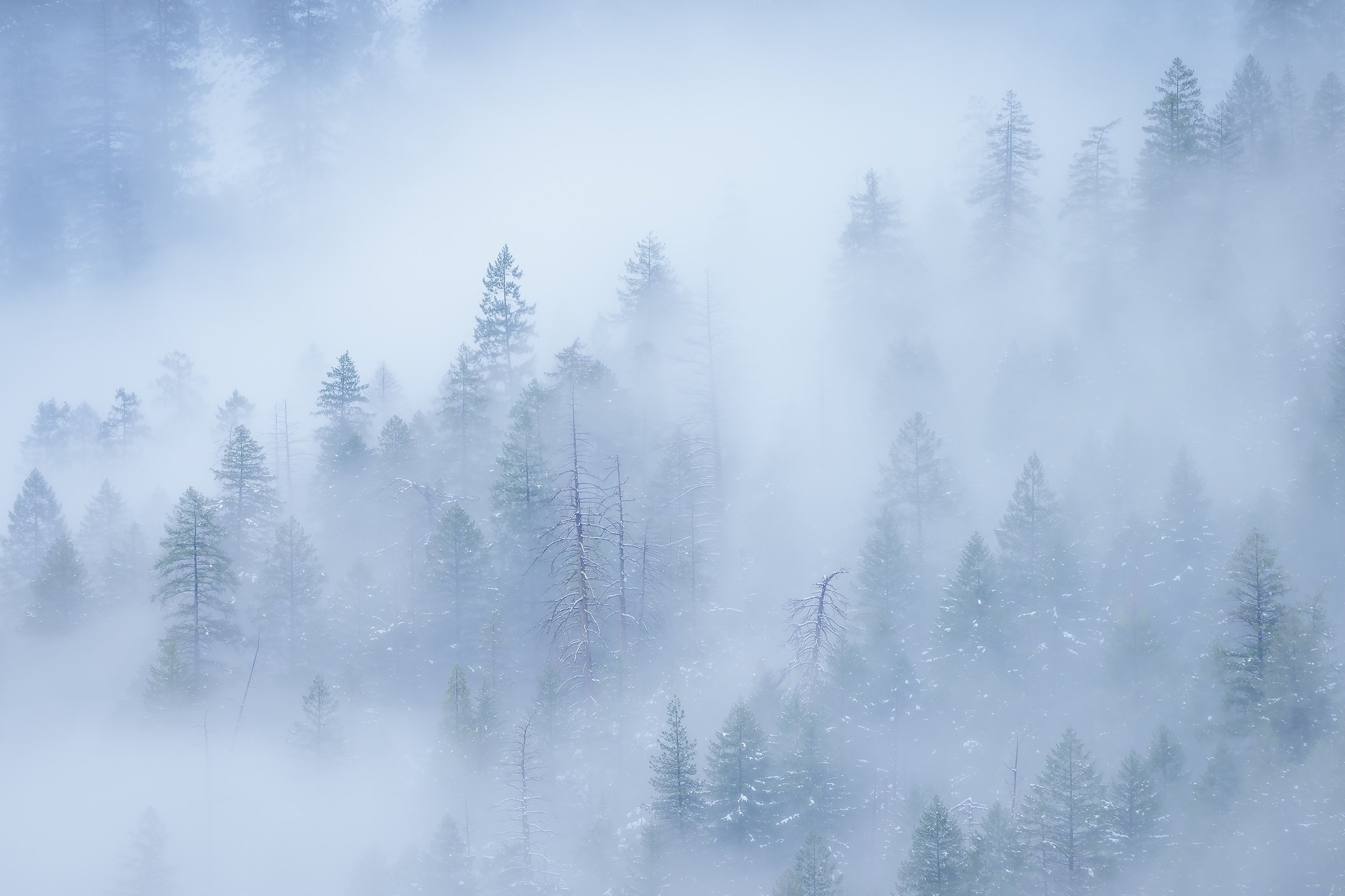 Fog1.jpeg