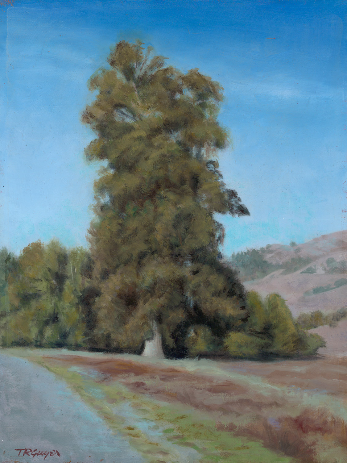 " Roadside San Juan Batista " 12x9" oil on linen over wood panel