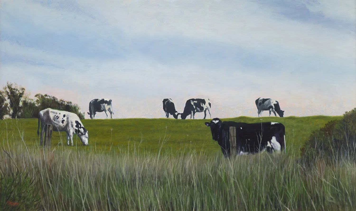 Highline Grazing