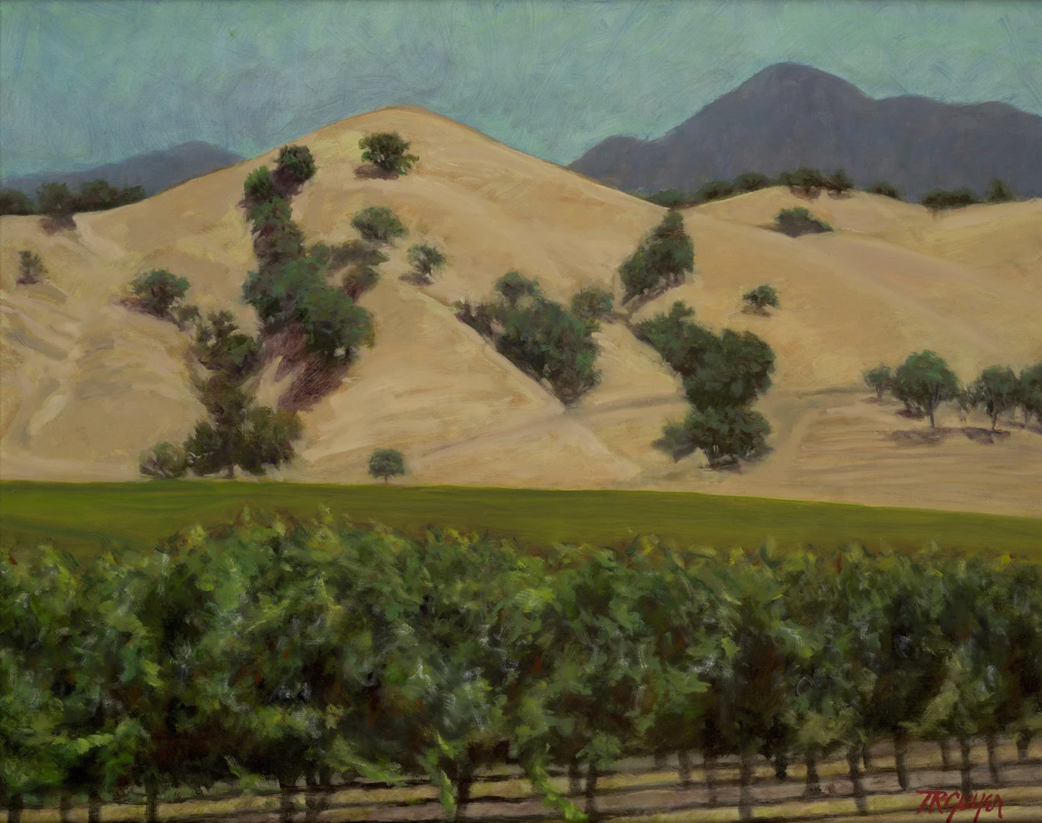 Wine Country