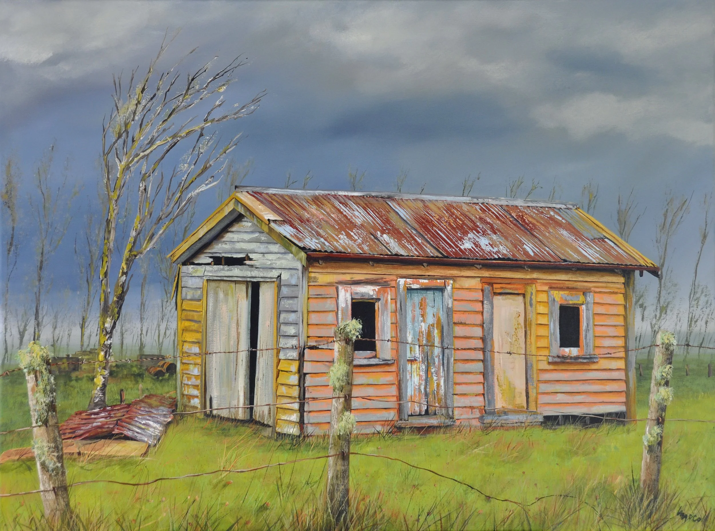 Waikato Shed