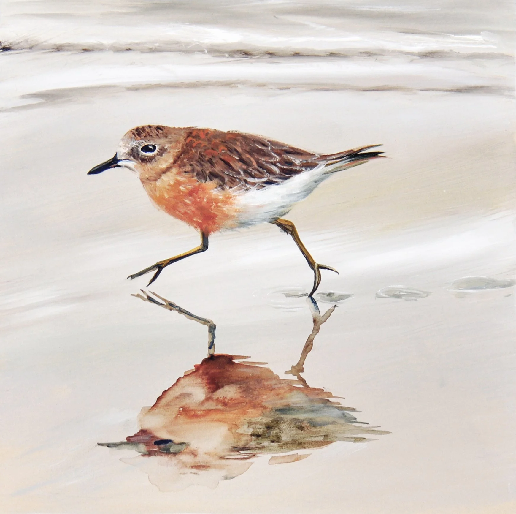 Dotteral Reflection.jpg