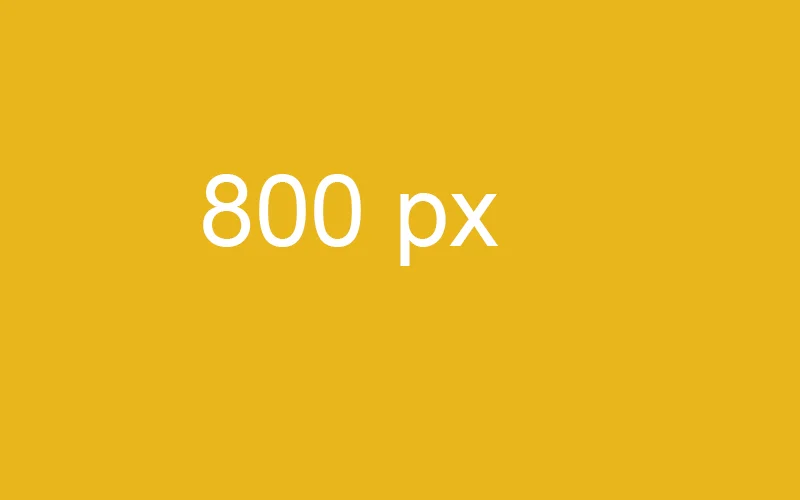800 px.jpg