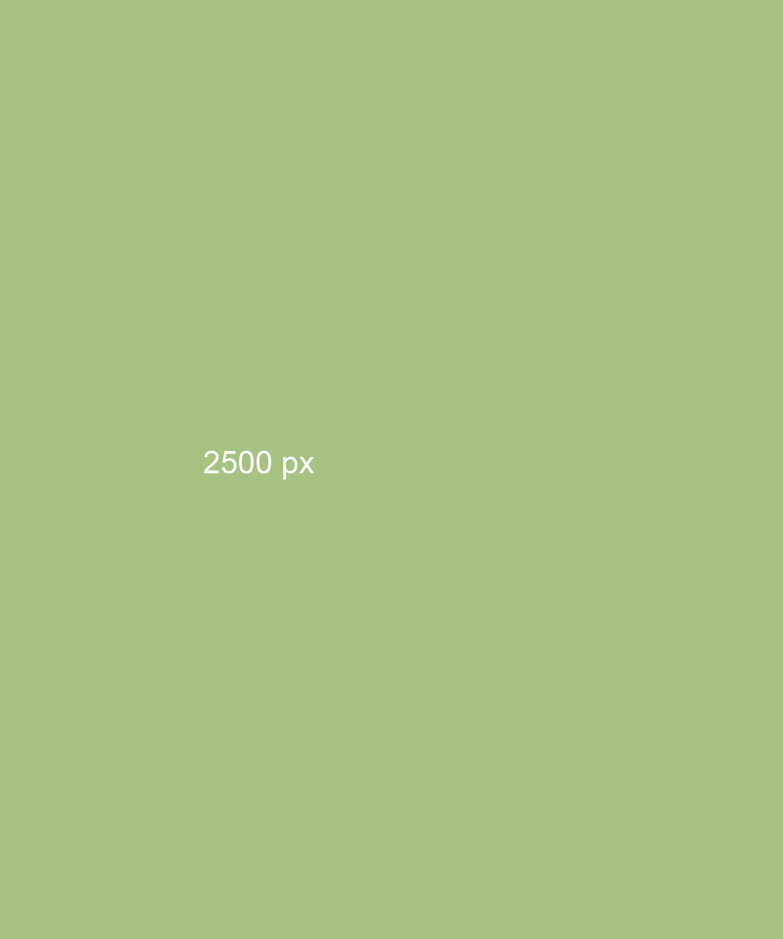 2500 px.jpg