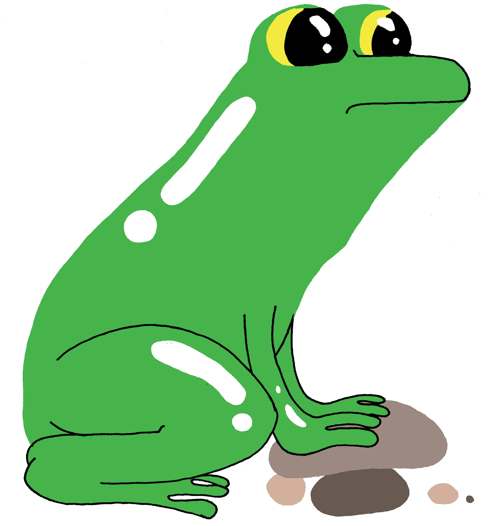 frog.jpg