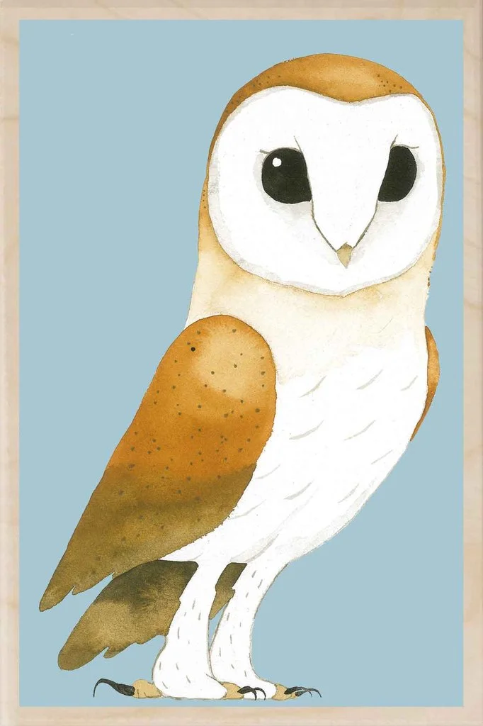 MS_SPL_BARN_OWL_LIGHT_STORM_1024x1024.jpg