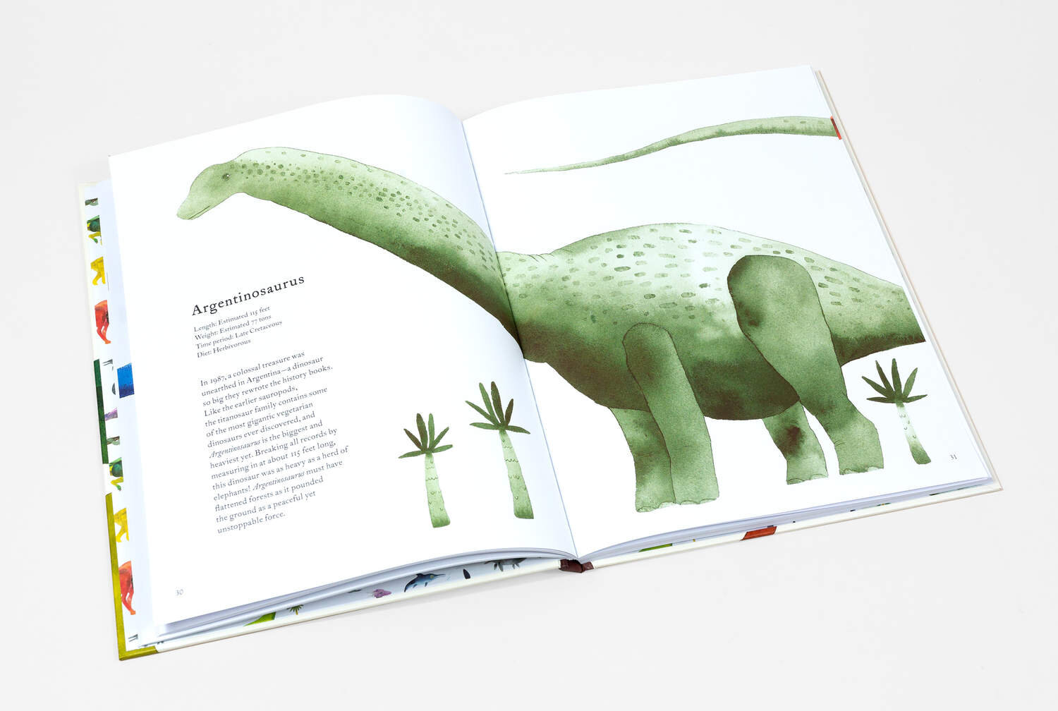 matt-sewell-the-colorful-world-of-dinosaurs-book-ADDITIONAL-5bdce833b7460-1500.jpg