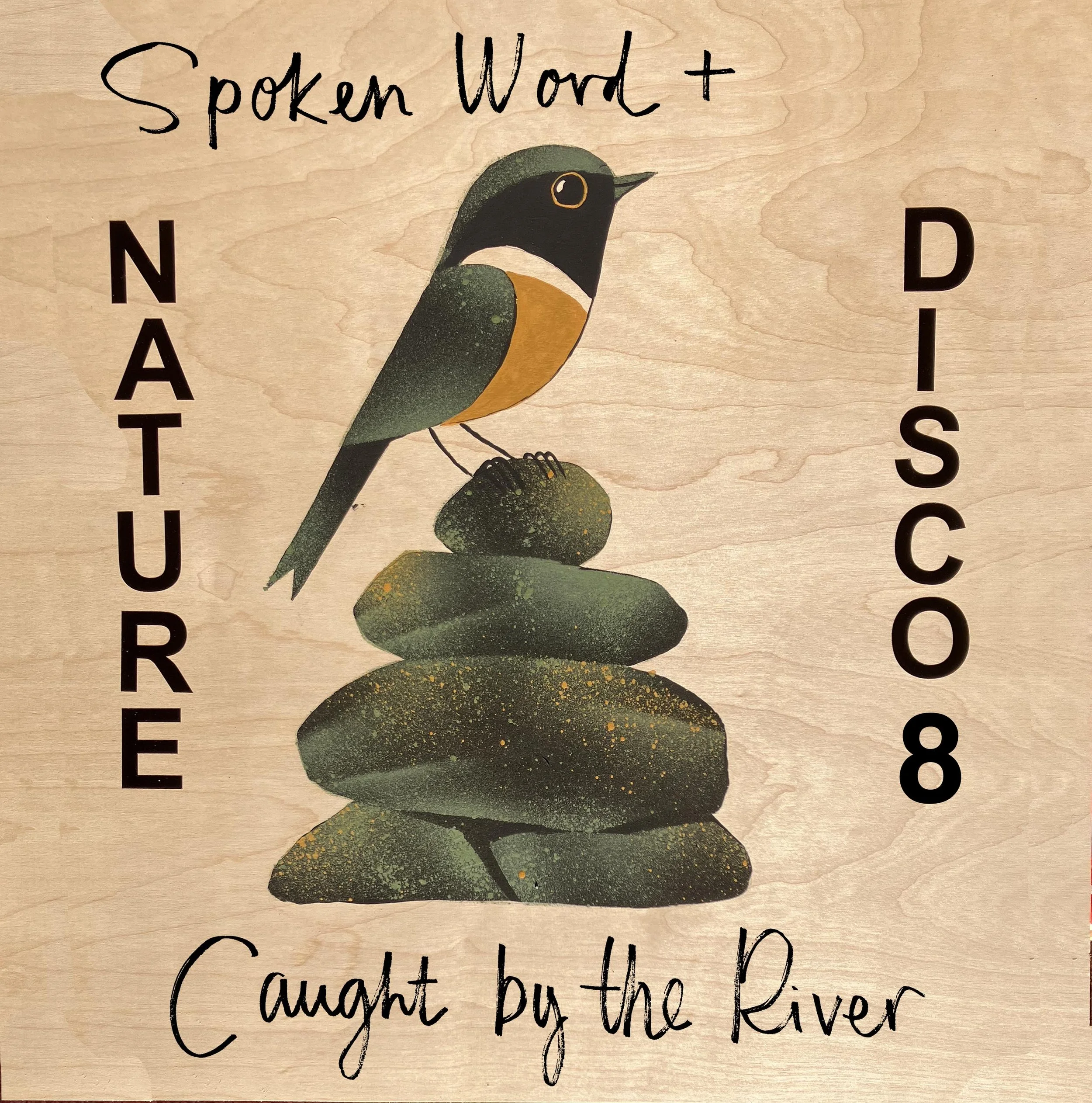 Nature Disco sleeve.jpg