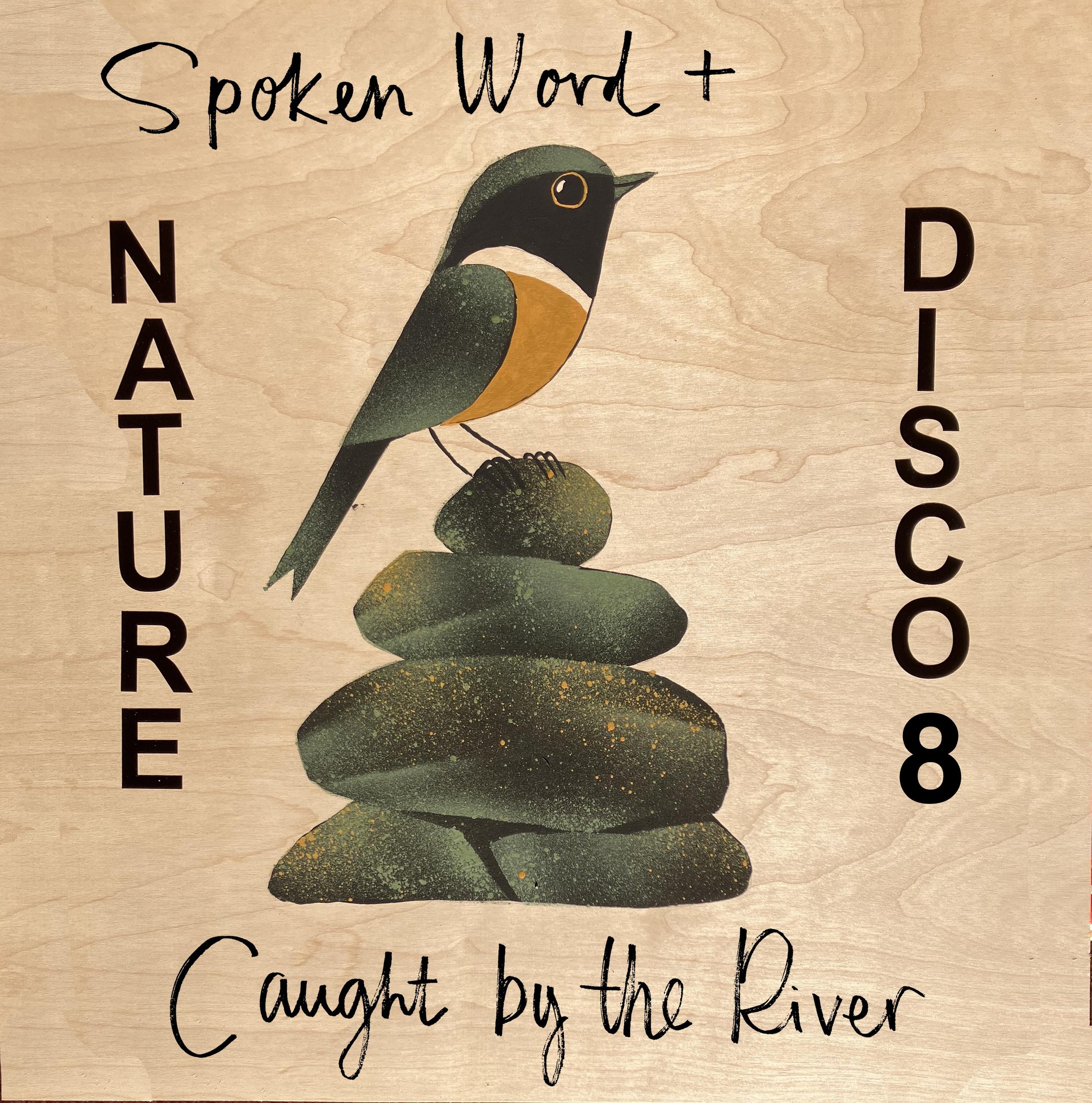 Nature Disco sleeve.jpg