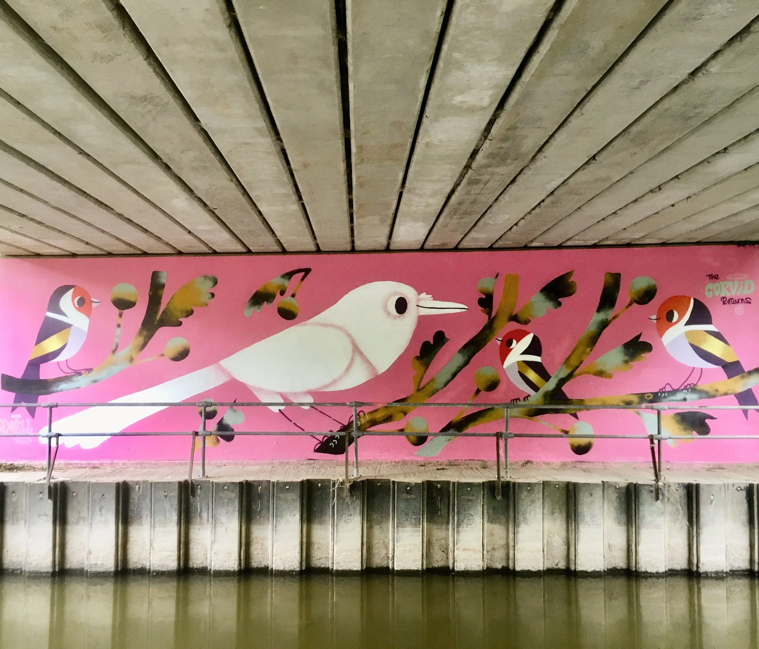 F446F580-4DA2-483C-9ACF-0717F17BB97E 2.jpg