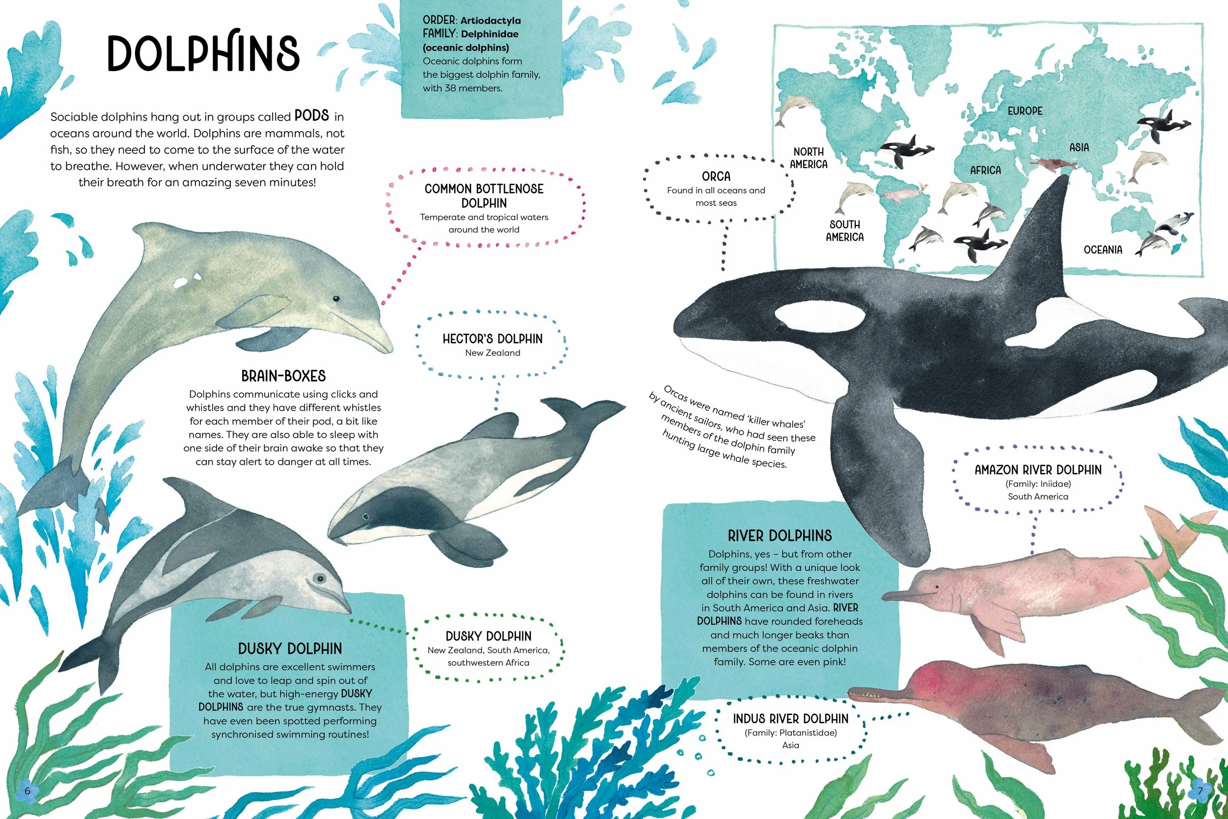 Animal families 1.jpg