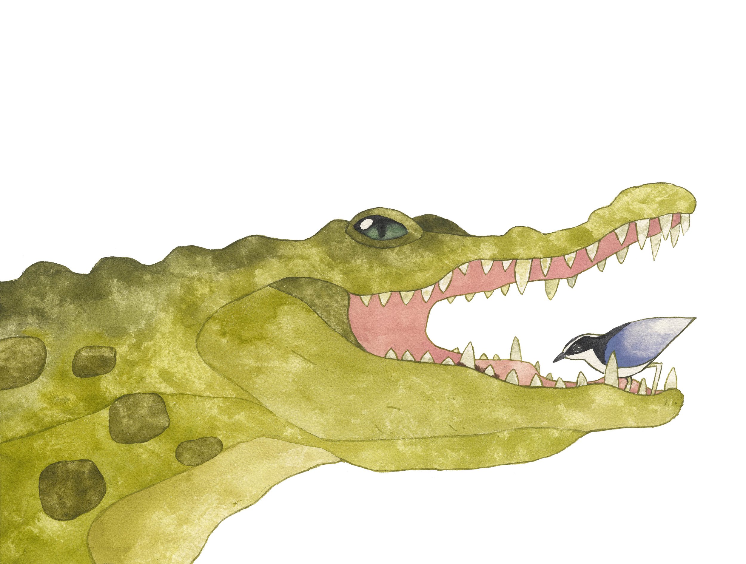 21_Nile Crocodile.jpg