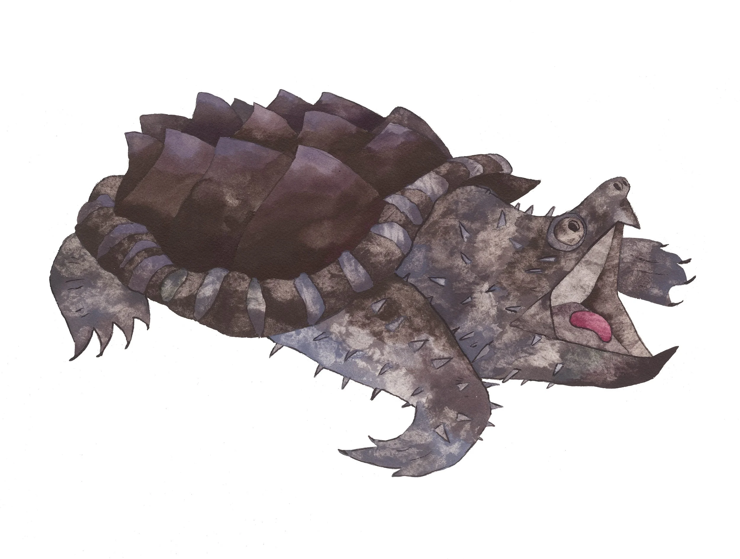 Alligator Snapping Turtle.jpg