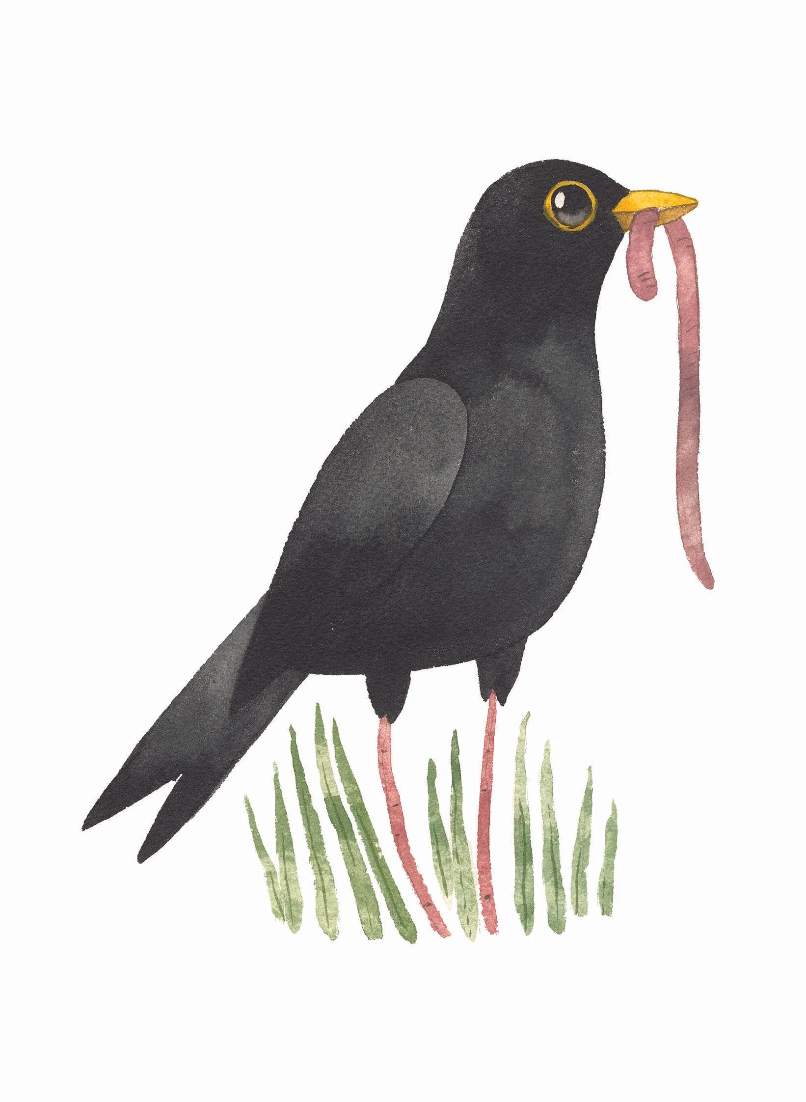 early bird catches the worm.jpg