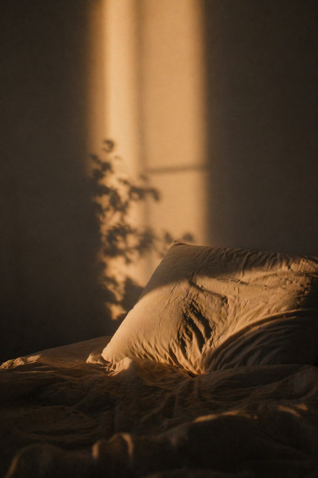 Sleep - Sunday May 3rd, 2026