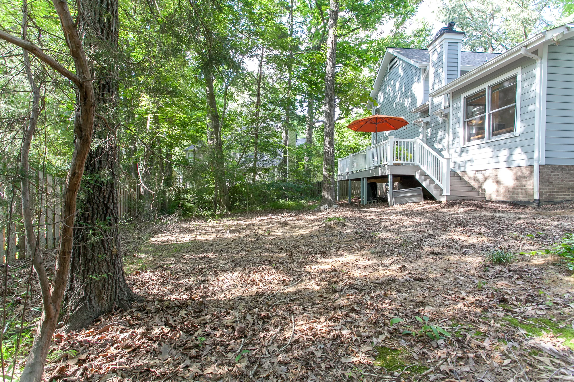 Backyard.jpg