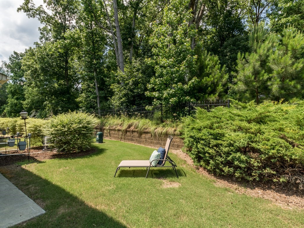 020_ Backyard.jpg