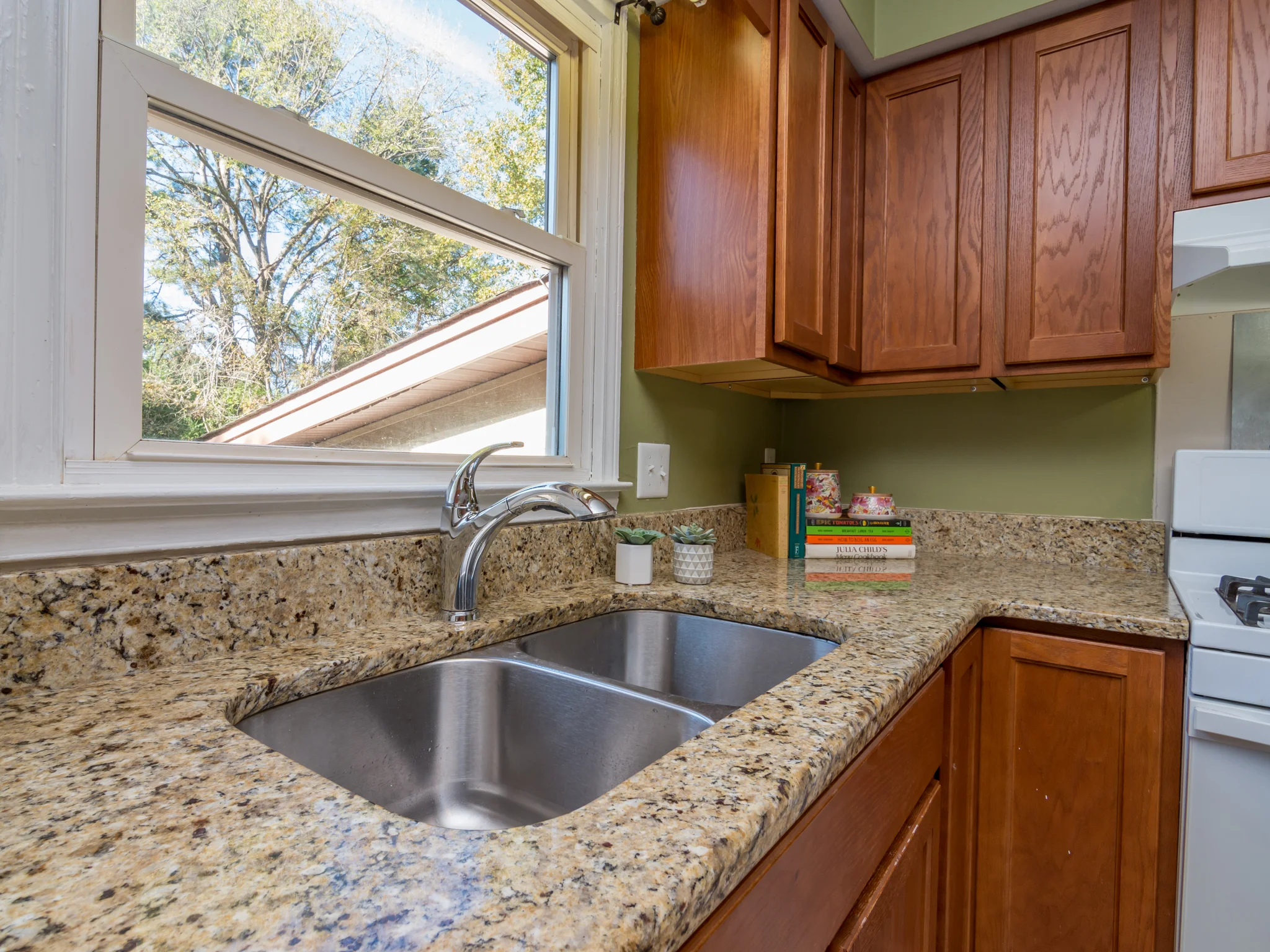 Kitchen Window.jpg