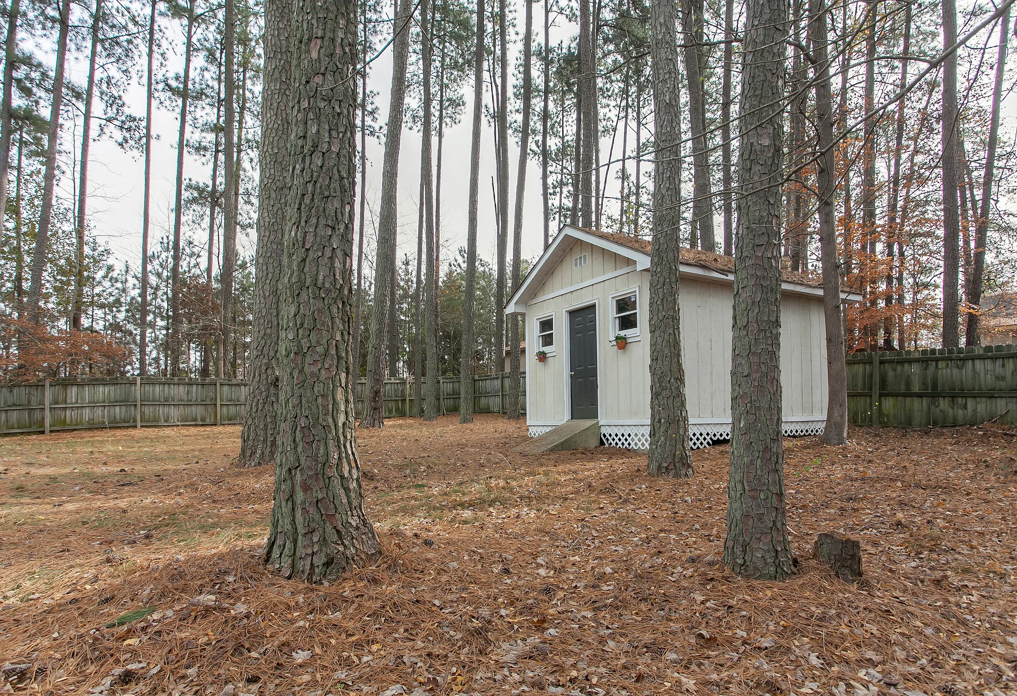 Shed.jpg