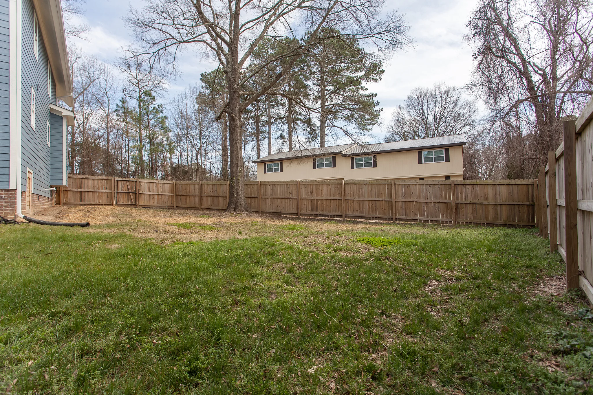 Back Yard.jpg