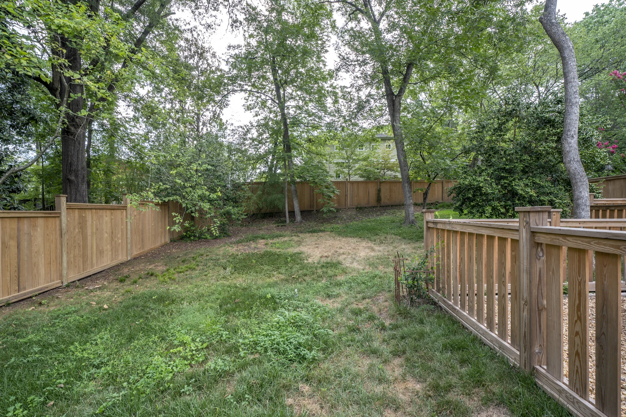 Backyard.jpg