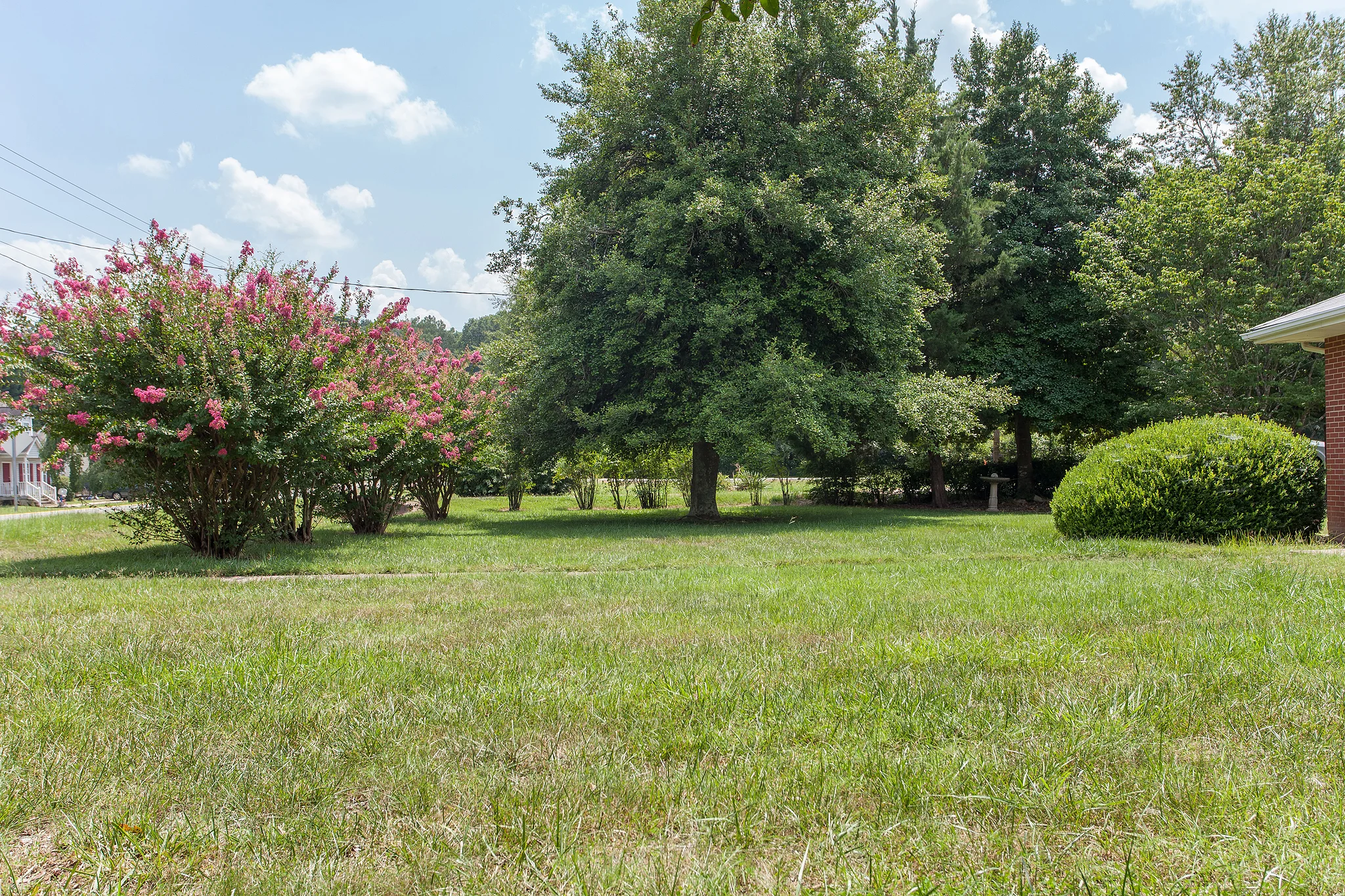 Front yard.jpg