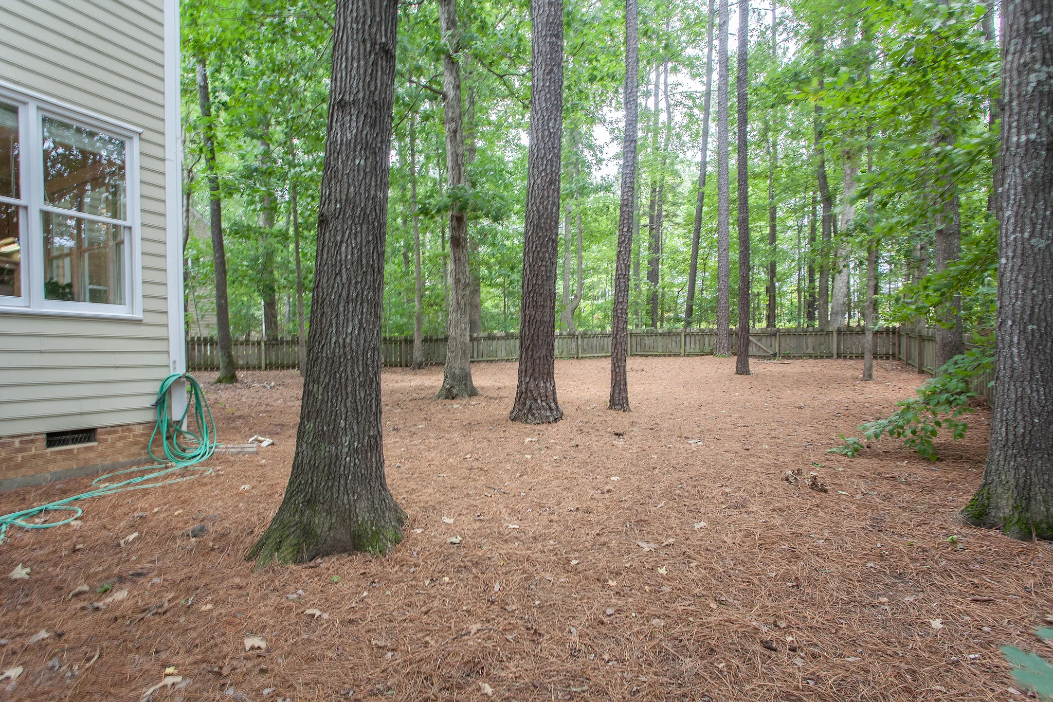 Backyard.jpg
