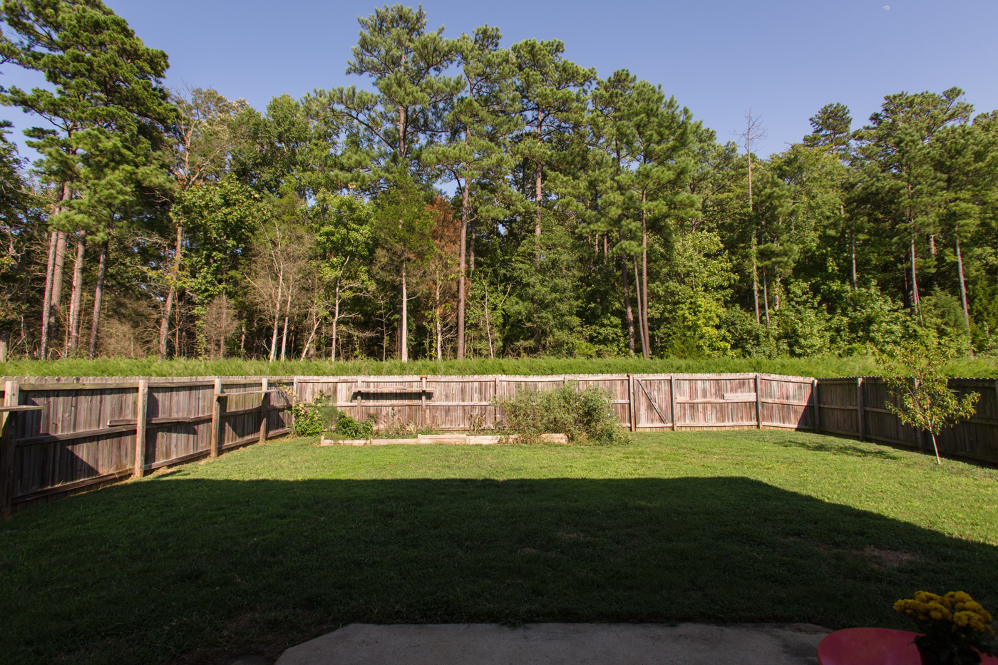 190807_AB_1424Cozart_0074_mls.jpg