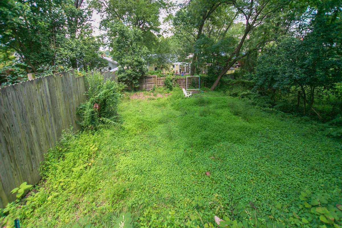 519 Holloway55.jpg