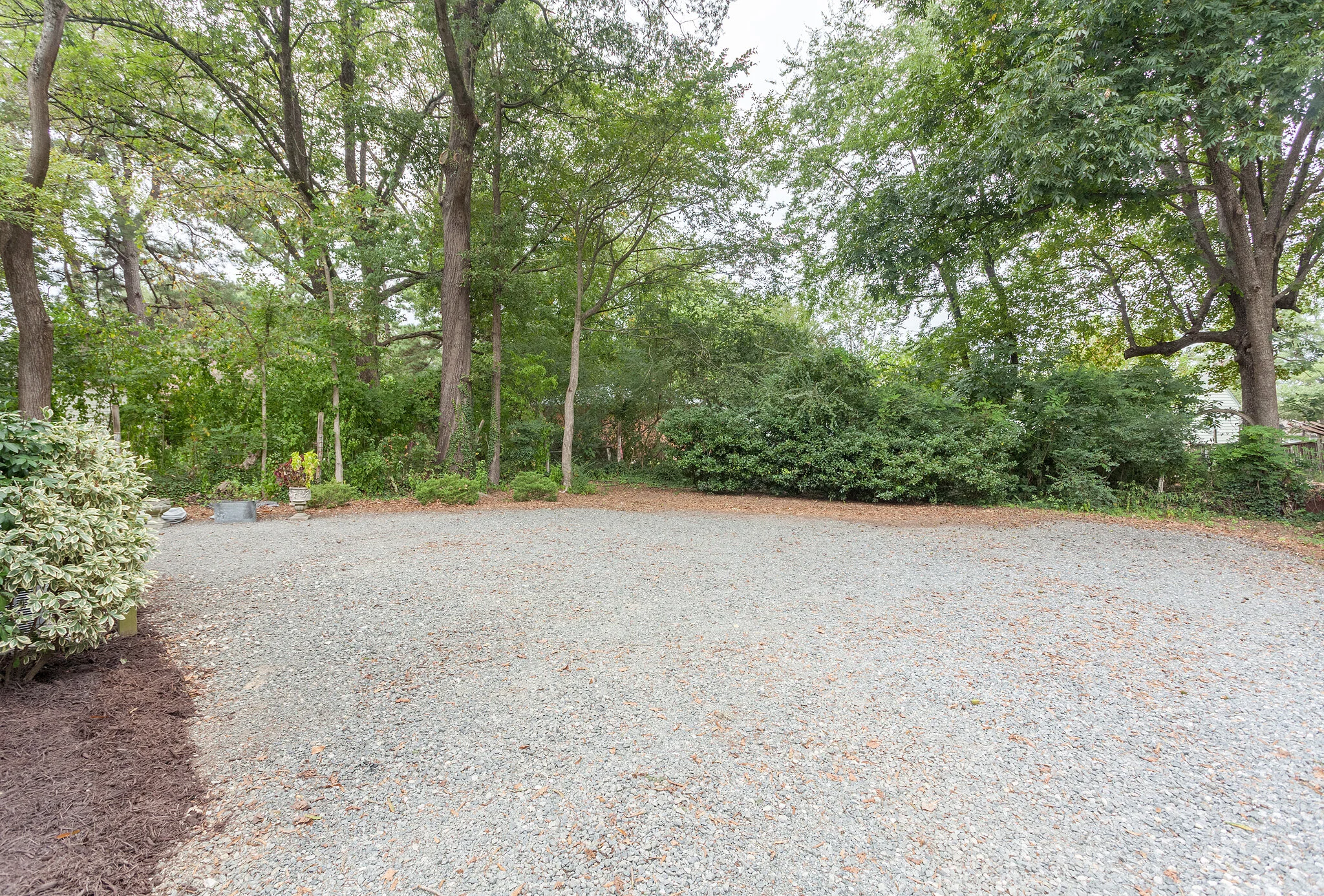 Backyard.jpg