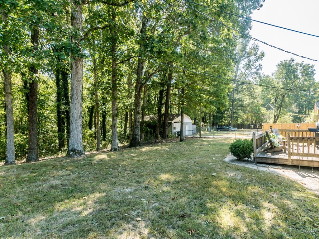 021_ Fenced Backyard.jpg