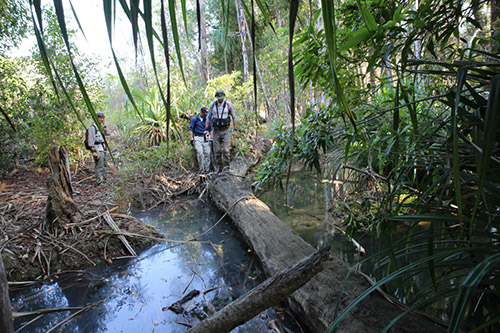 madagascar_5N5A7248.jpg