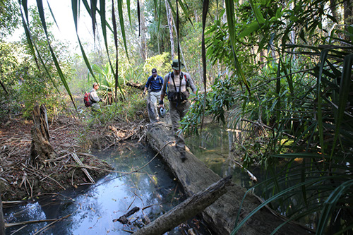 madagascar_5N5A7249.jpg