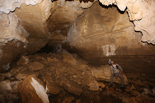 madagascar_5N5A7461.jpg