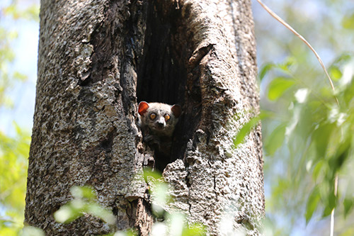 madagascar_5N5A7734.jpg