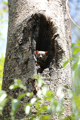 madagascar_5N5A7738.jpg