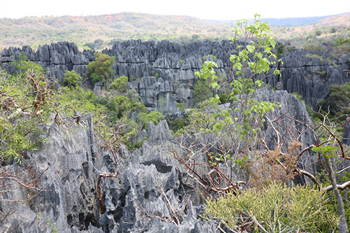 madagascar_5N5A7754.jpg