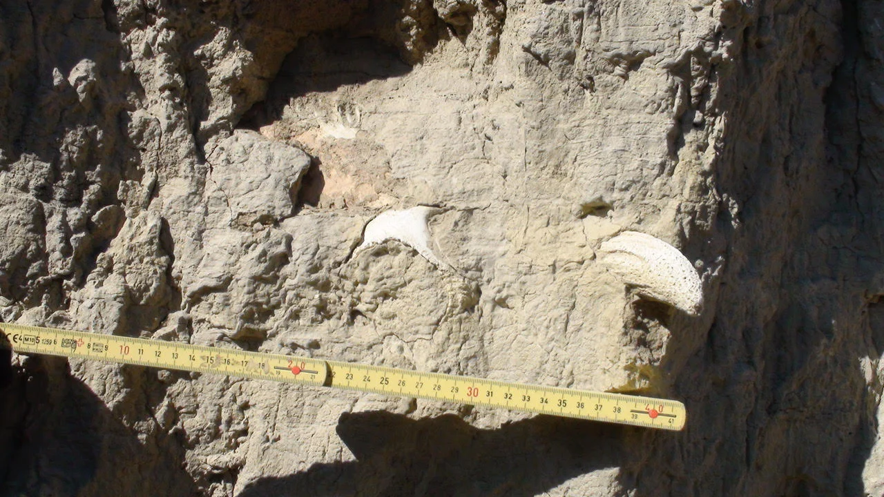 NDKTA_5687.jpg