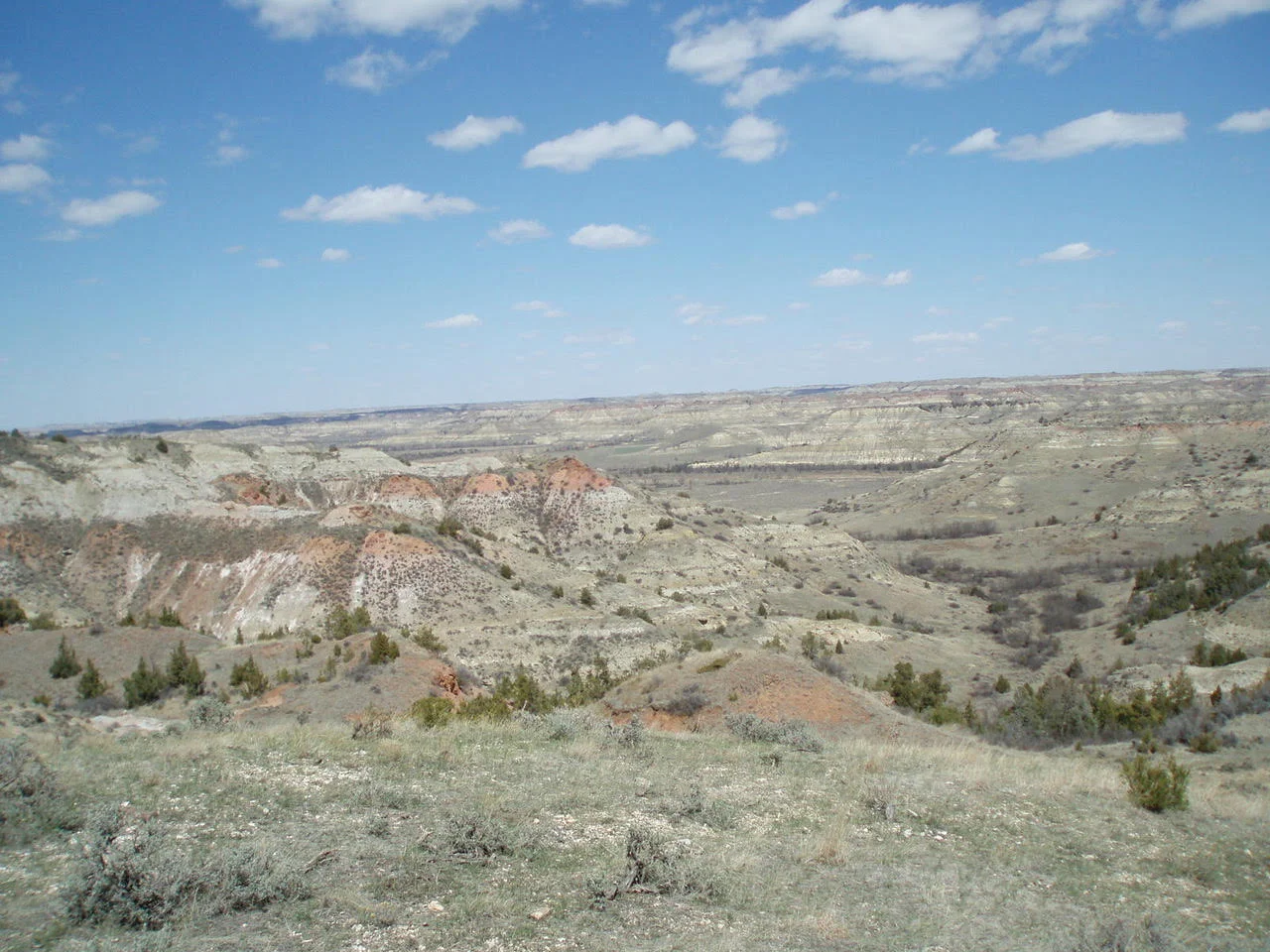 NDKTA_123524.jpg