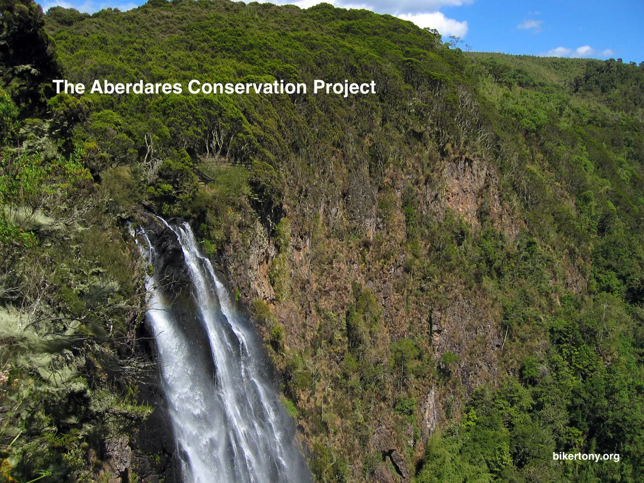 Kenya - The Aberdares Conservation Project