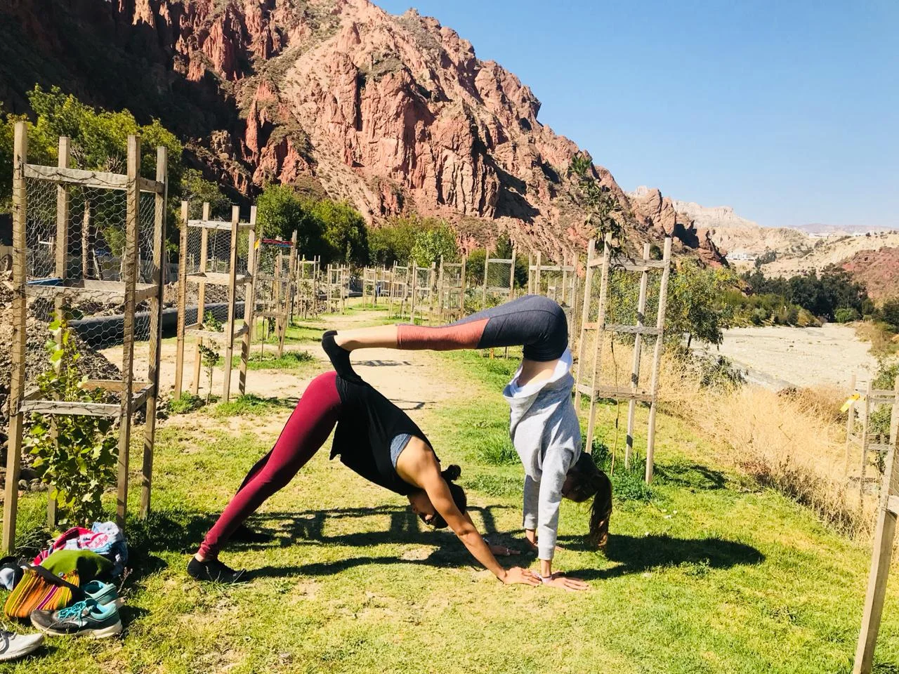 yoga.jpg