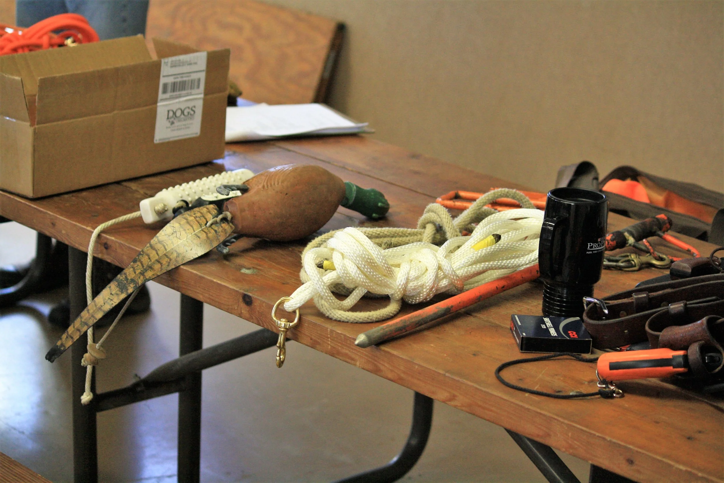Equipment2.jpg