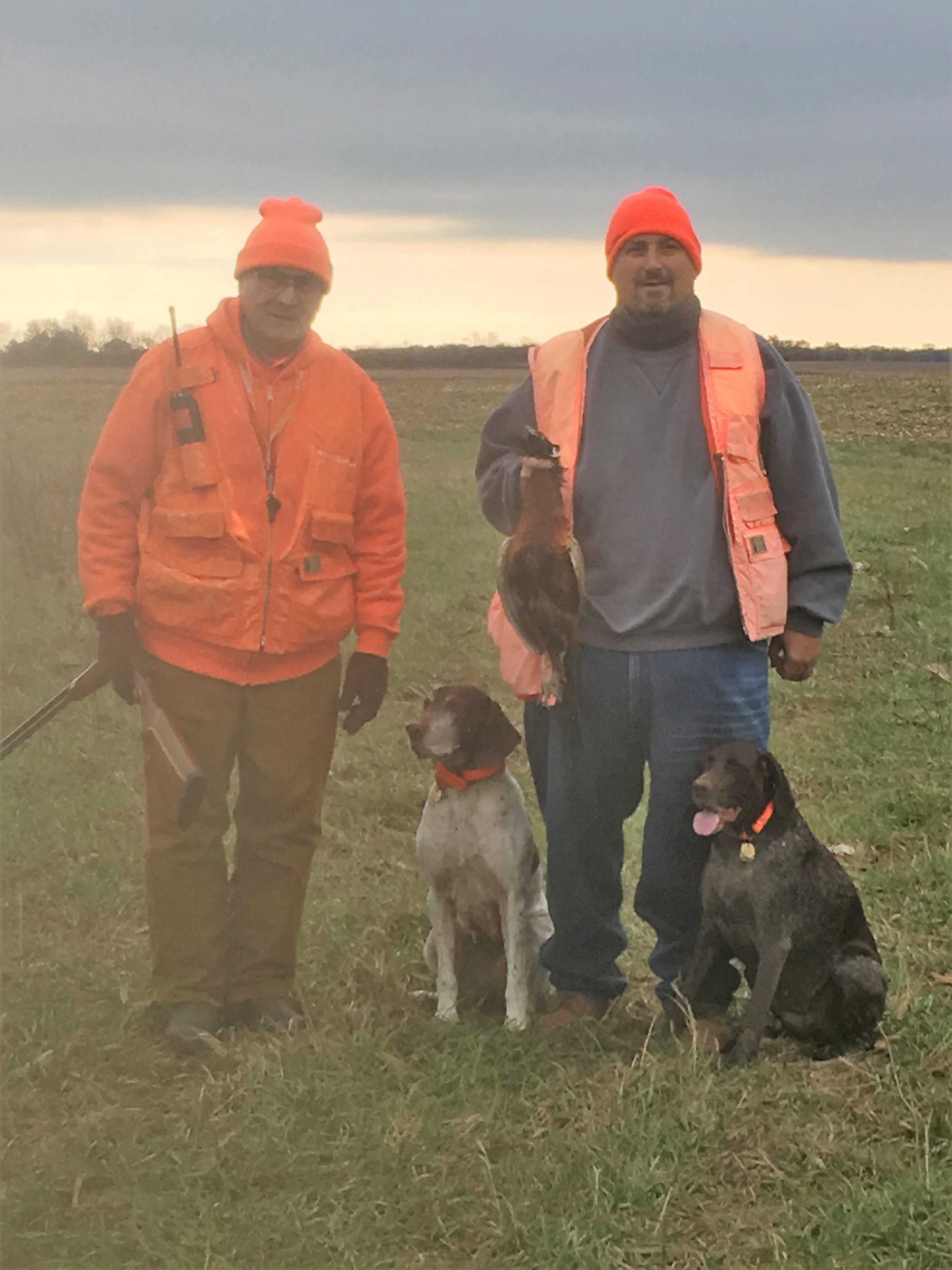 Connie and Frank Susi hunting wild pheasants in Iroquois county